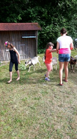 Sommer 2016 (10)